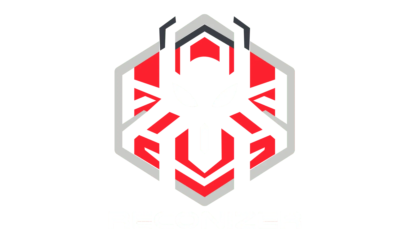 Reconizer