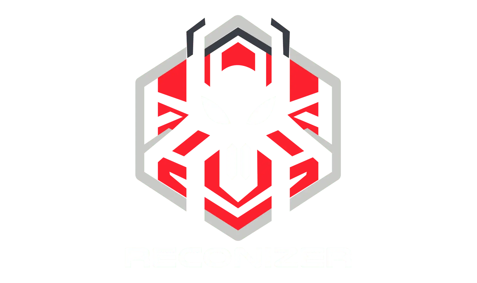 Reconizer